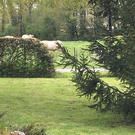 Cottage De Charme A La Campagne Aulnoy Zewnętrze zdjęcie