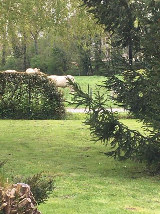 Cottage De Charme A La Campagne Aulnoy Zewnętrze zdjęcie