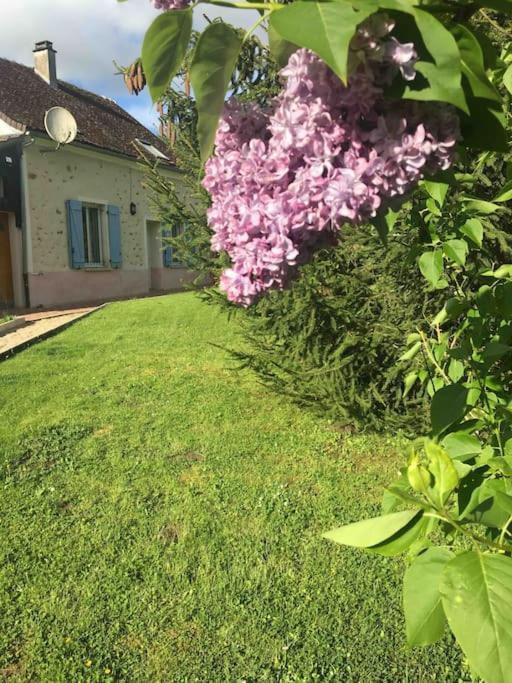 Cottage De Charme A La Campagne Aulnoy Zewnętrze zdjęcie